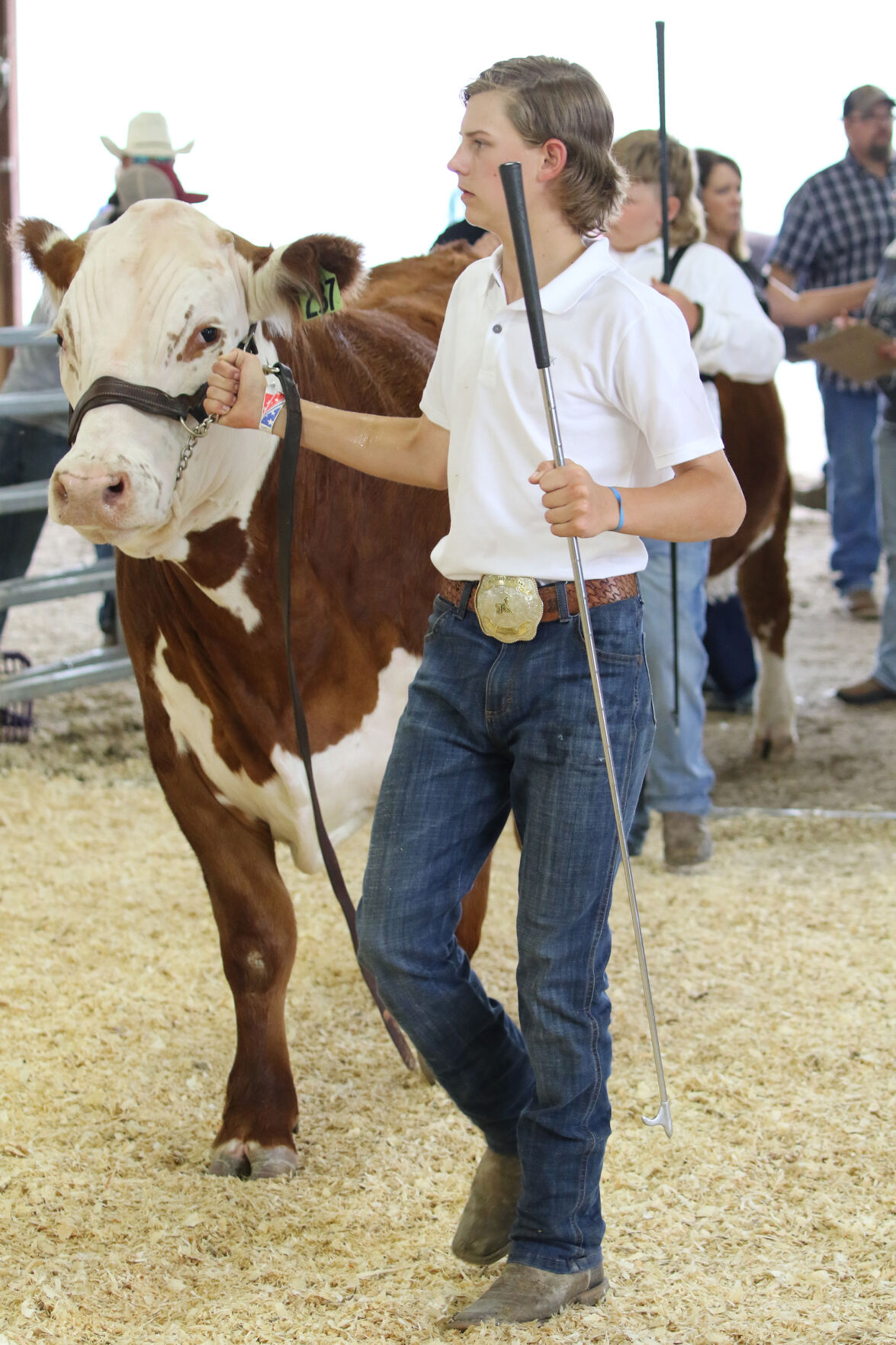 PHOTOS: Market Beef Show 2020